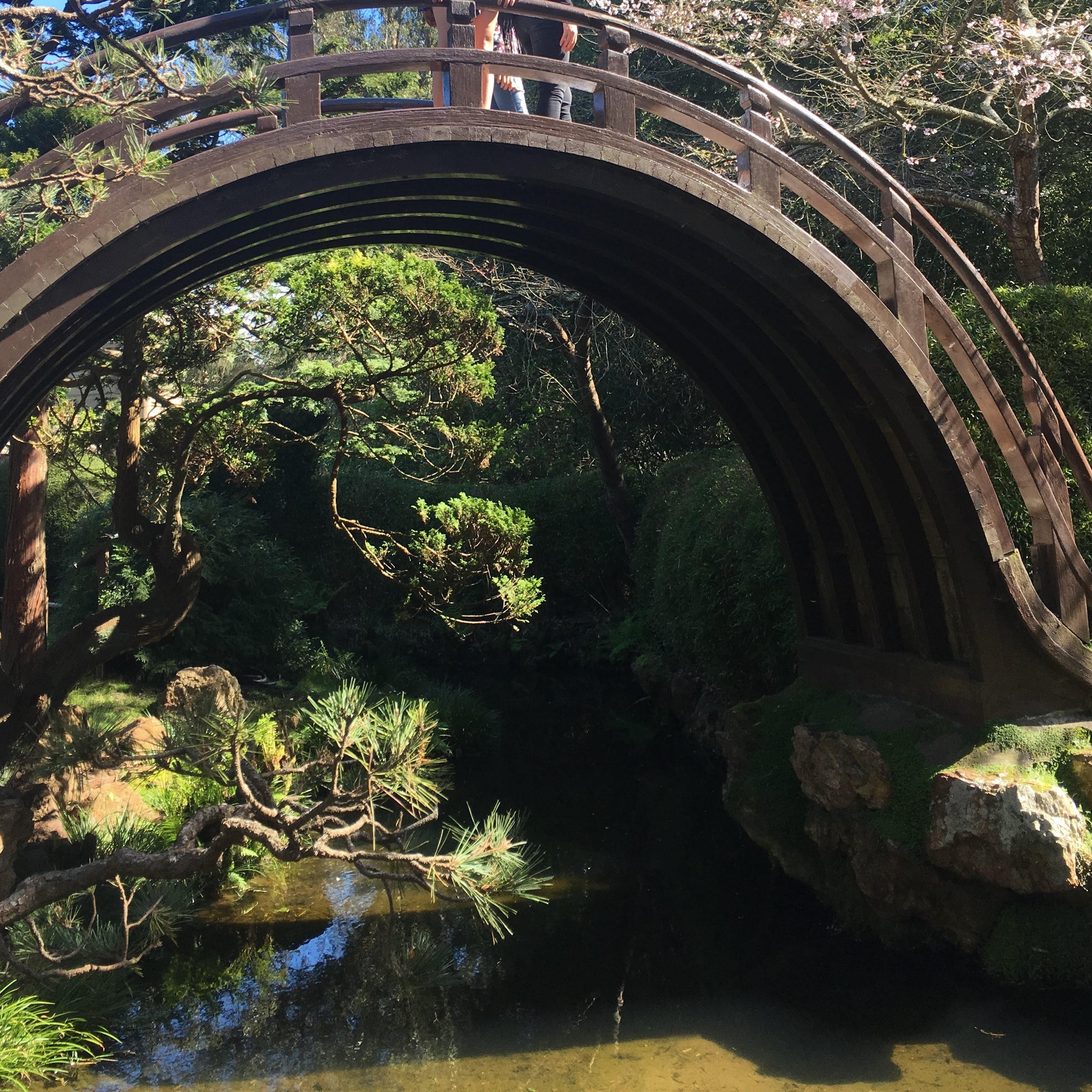 japanese gardens sf