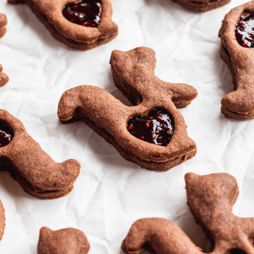 chocolate chai shortbread cookies shaped like squirrels