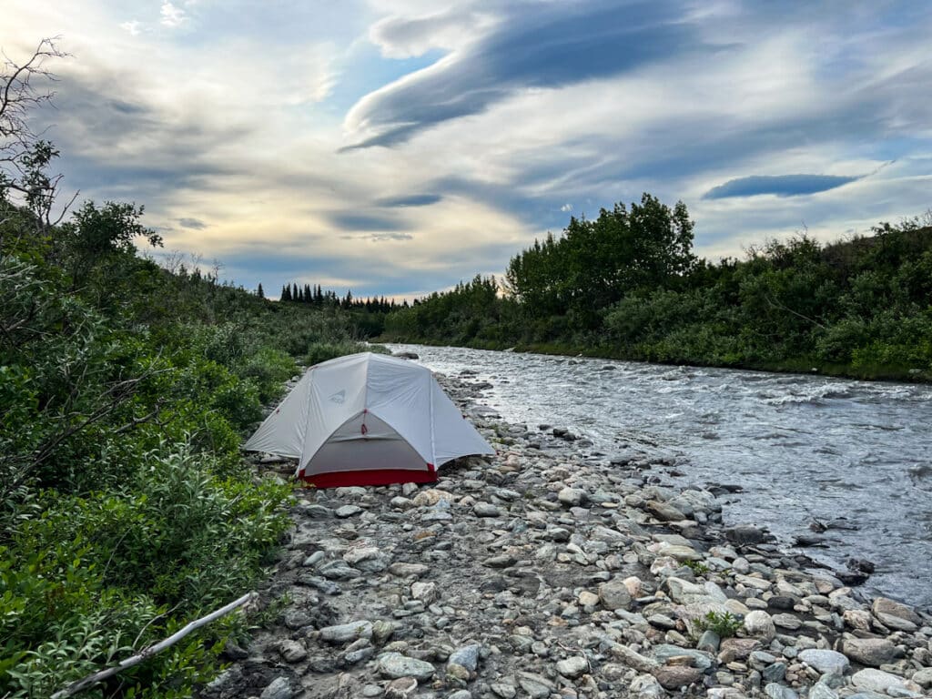 Denali camping