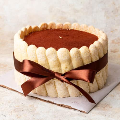 Tiramisu charlotte cake