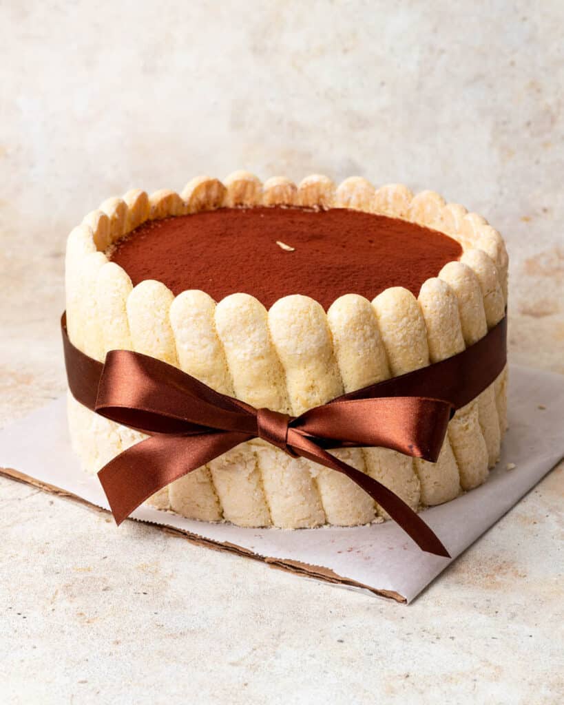 Tiramisu charlotte cake