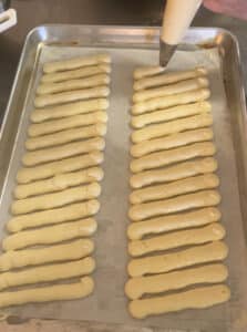 Ladyfinger charlotte template