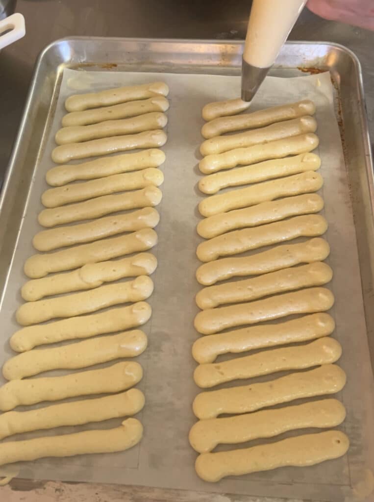 Ladyfinger charlotte template