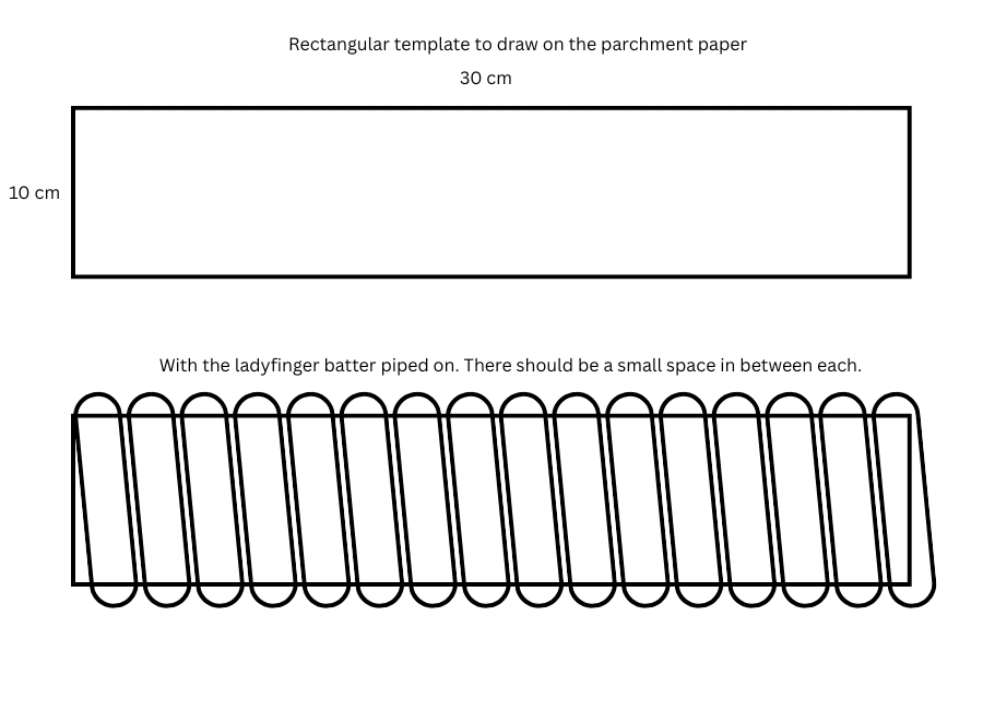 Ladyfinger charlotte template
